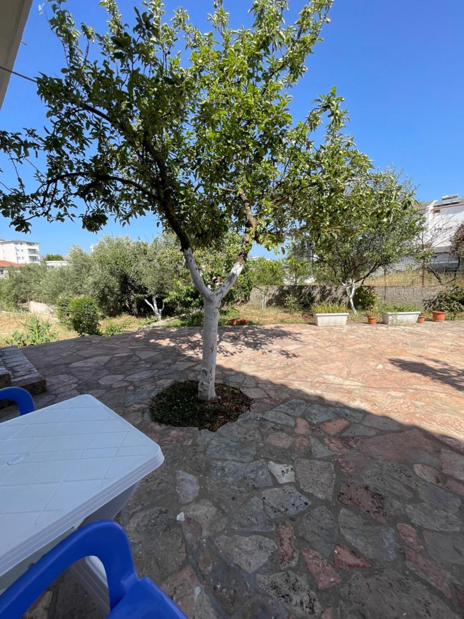 Guesthouse Dollomaja Ksamil Kültér fotó